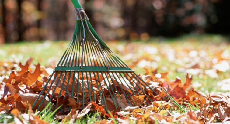 Fall Home Maintenance Tips