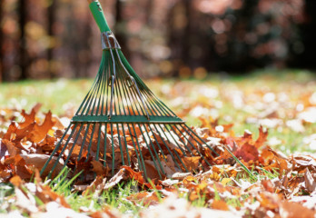 Fall Home Maintenance Tips