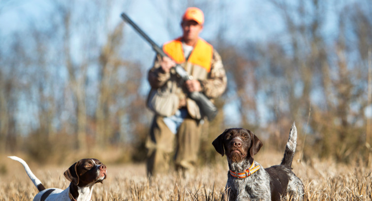 Discover Premier Hunting Land for Sale in Nebraska with American Legacy Land Co.