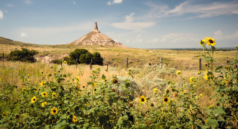 Land for Sale in Western Nebraska: Your Gateway to Opportunity with American Legacy Land Co.