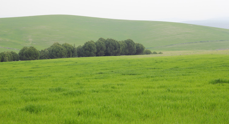 What to Know About Buying Raw Land in Nebraska | Nebraska Realty