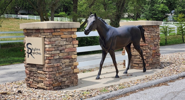 Saddle Up at Skyline Ranches: A Picturesque Horse-Friendly Subdivision