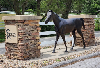 Saddle Up at Skyline Ranches: A Pictures...