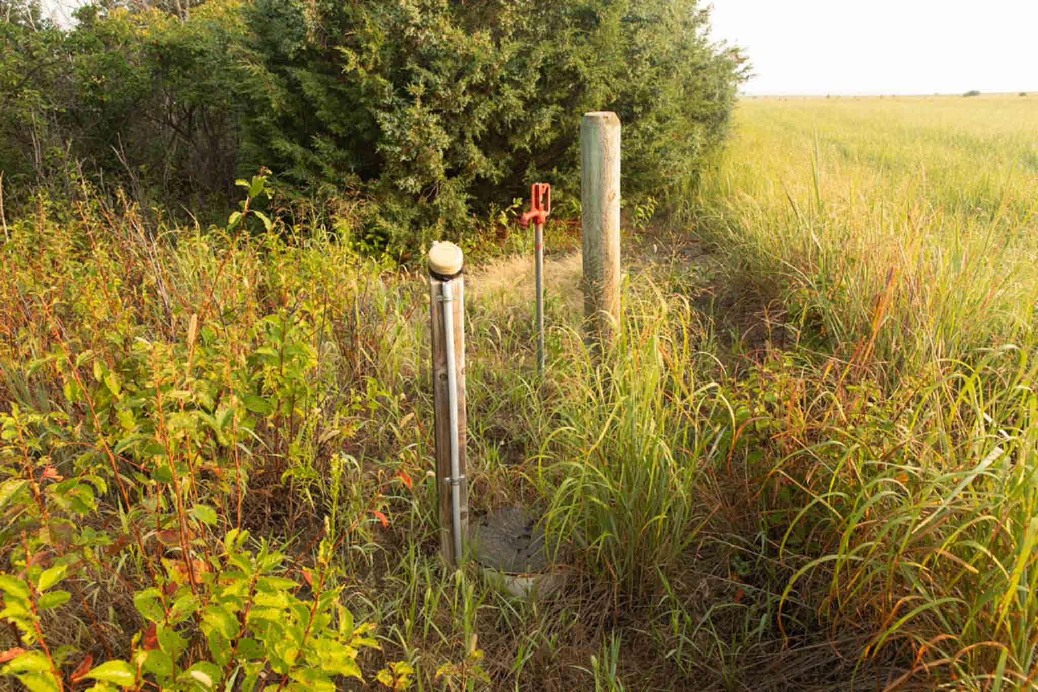 Pierre, SD 57501 - image 6