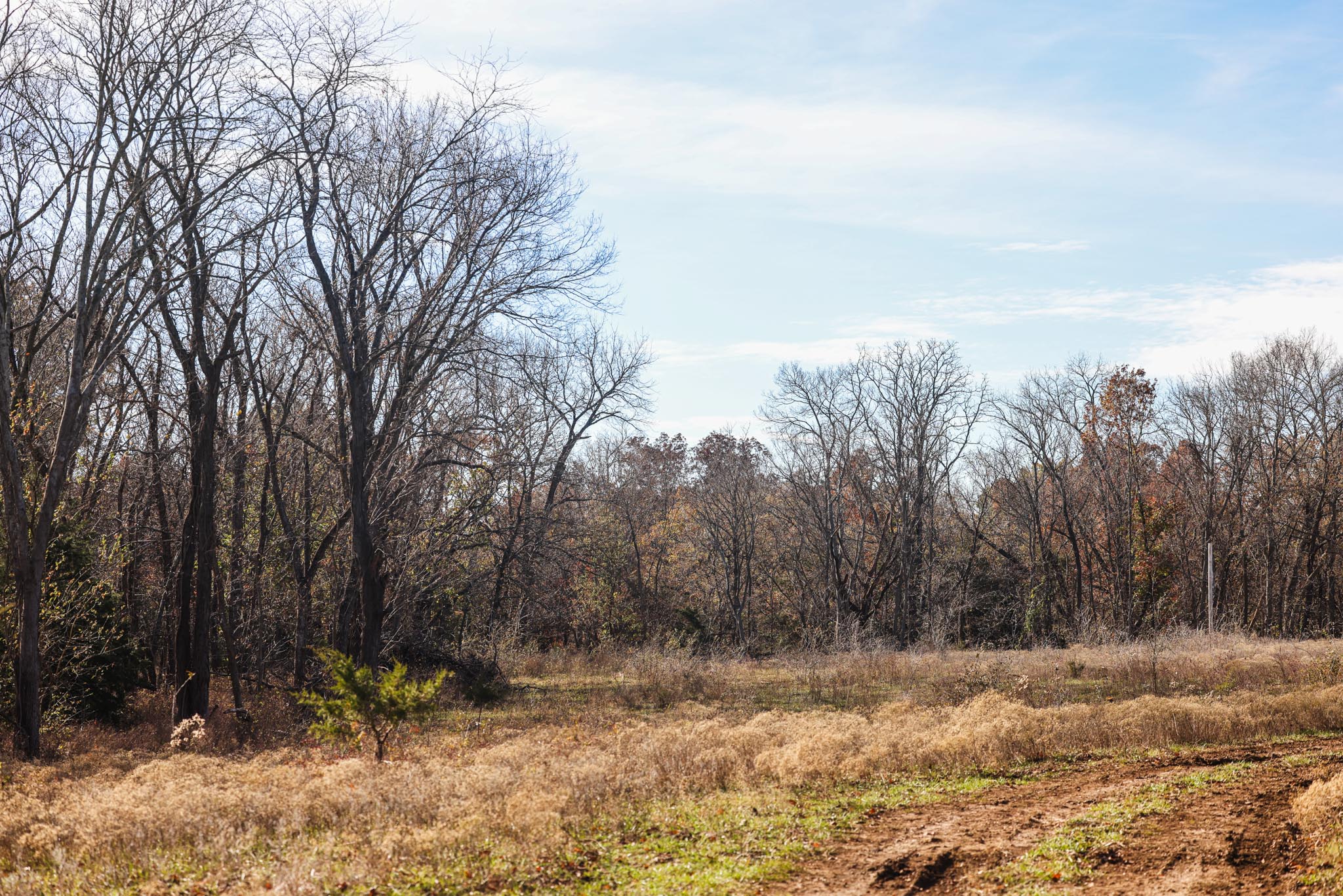 4801 Labette Road - image 14