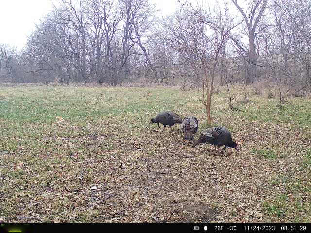 Stella, NE 68457 - image 8