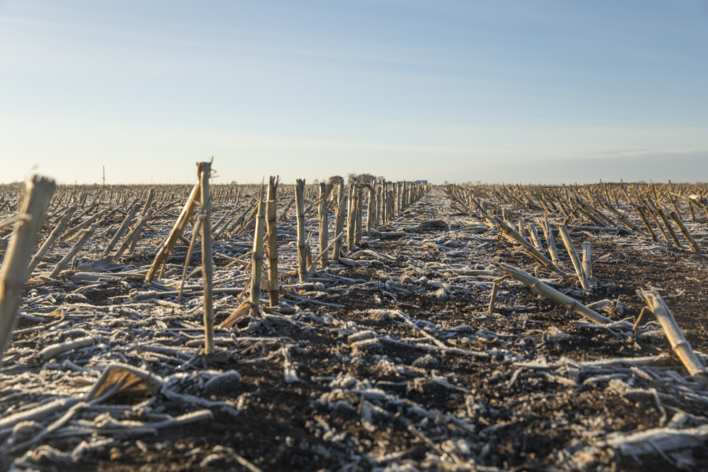 Freeman, SD 57029 - image 7