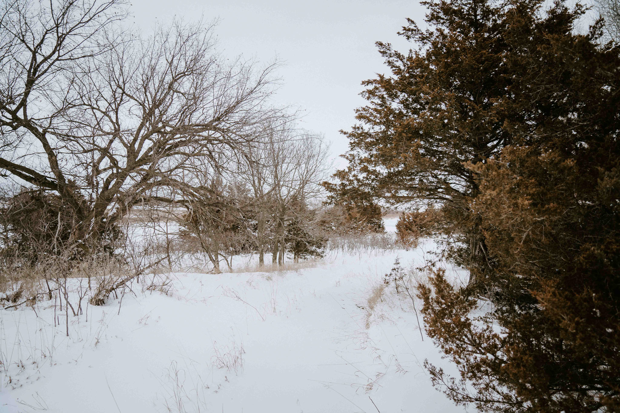 Burwell, NE 68823 - image 10