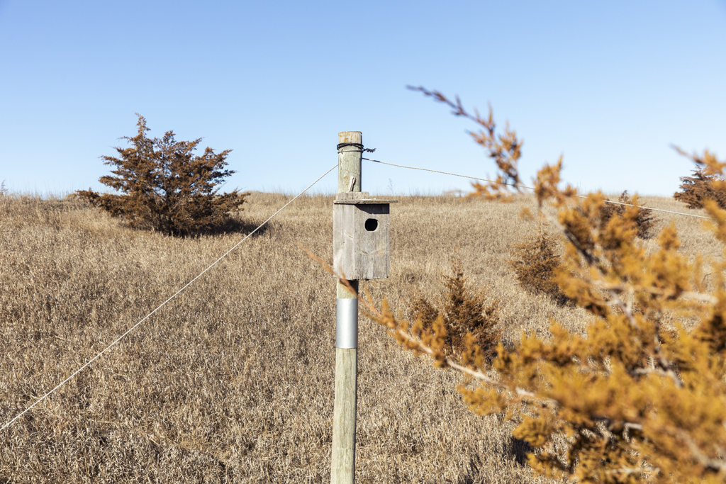 Humboldt, SD 57035 - image 26