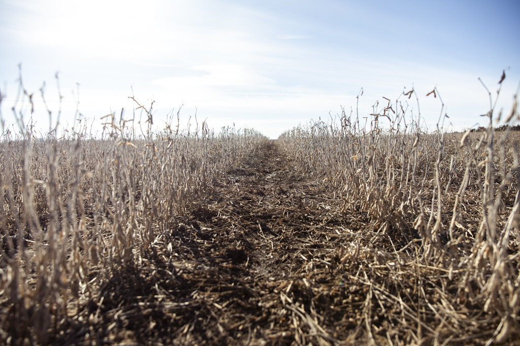 Humboldt, SD 57035 - image 25