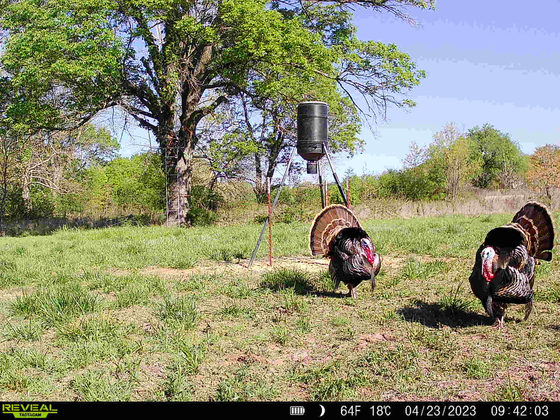 Bristow, OK 74010 - image 27