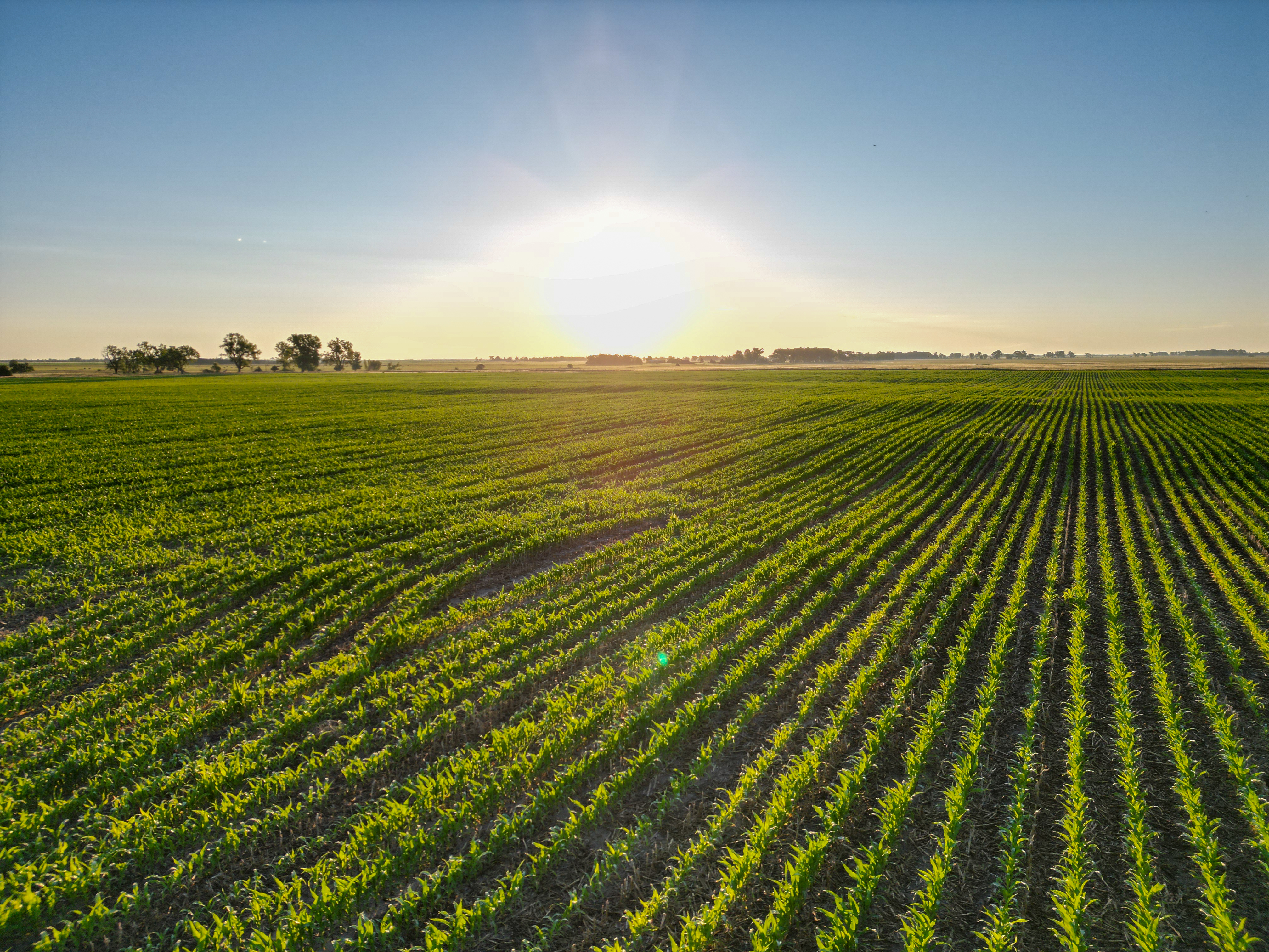 Newport, NE 68759 - image 9