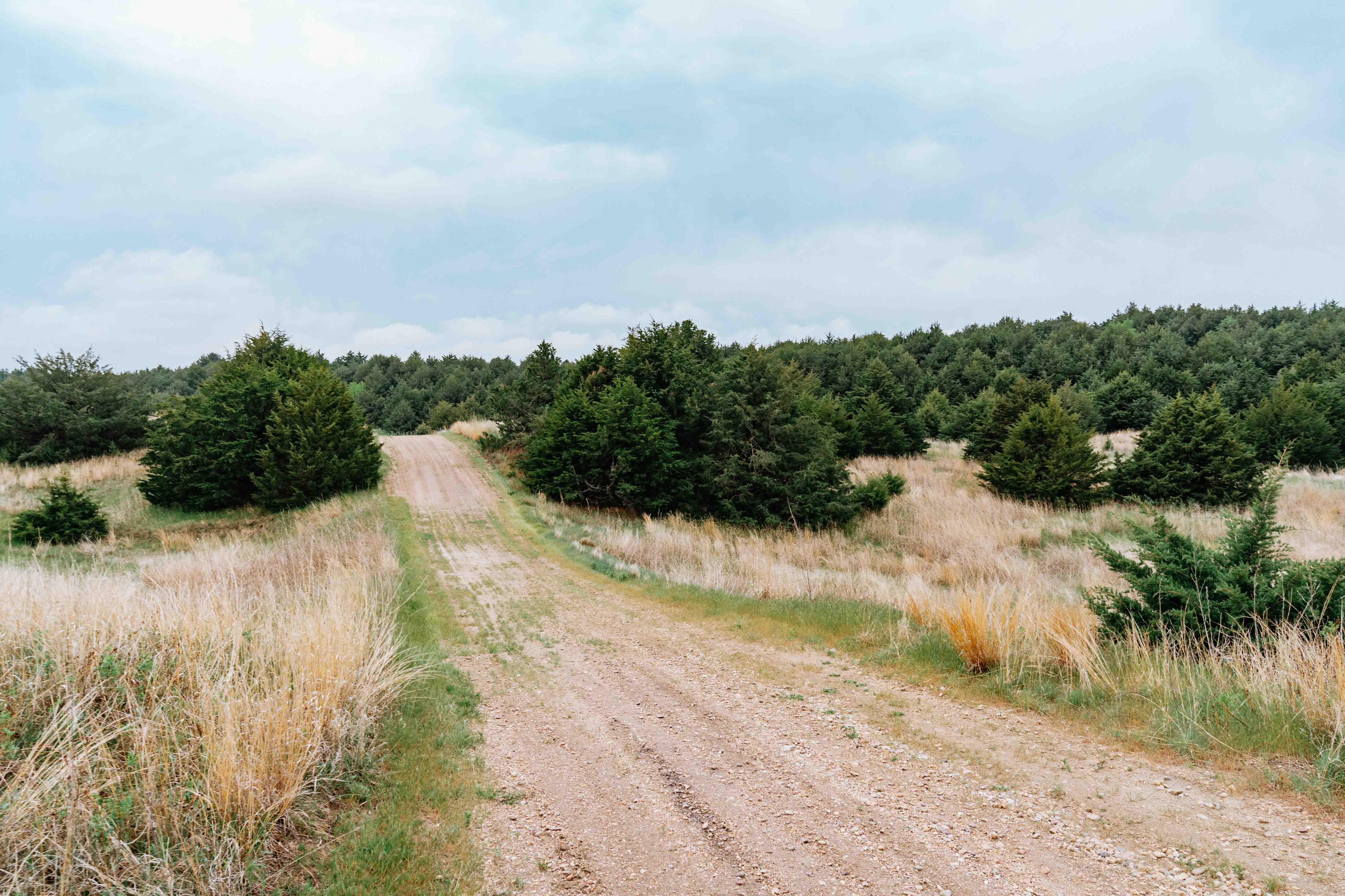 Burwell, NE 68823 - image 8