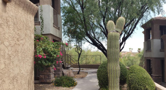 12050 N Panorama Drive, Fountain Hills