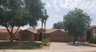 441 E Palo Brea Court, Gilbert