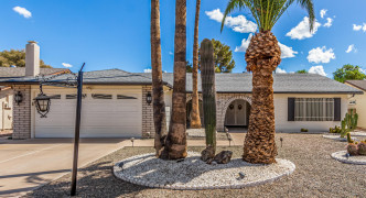 11611 S Half Moon Drive, Phoenix