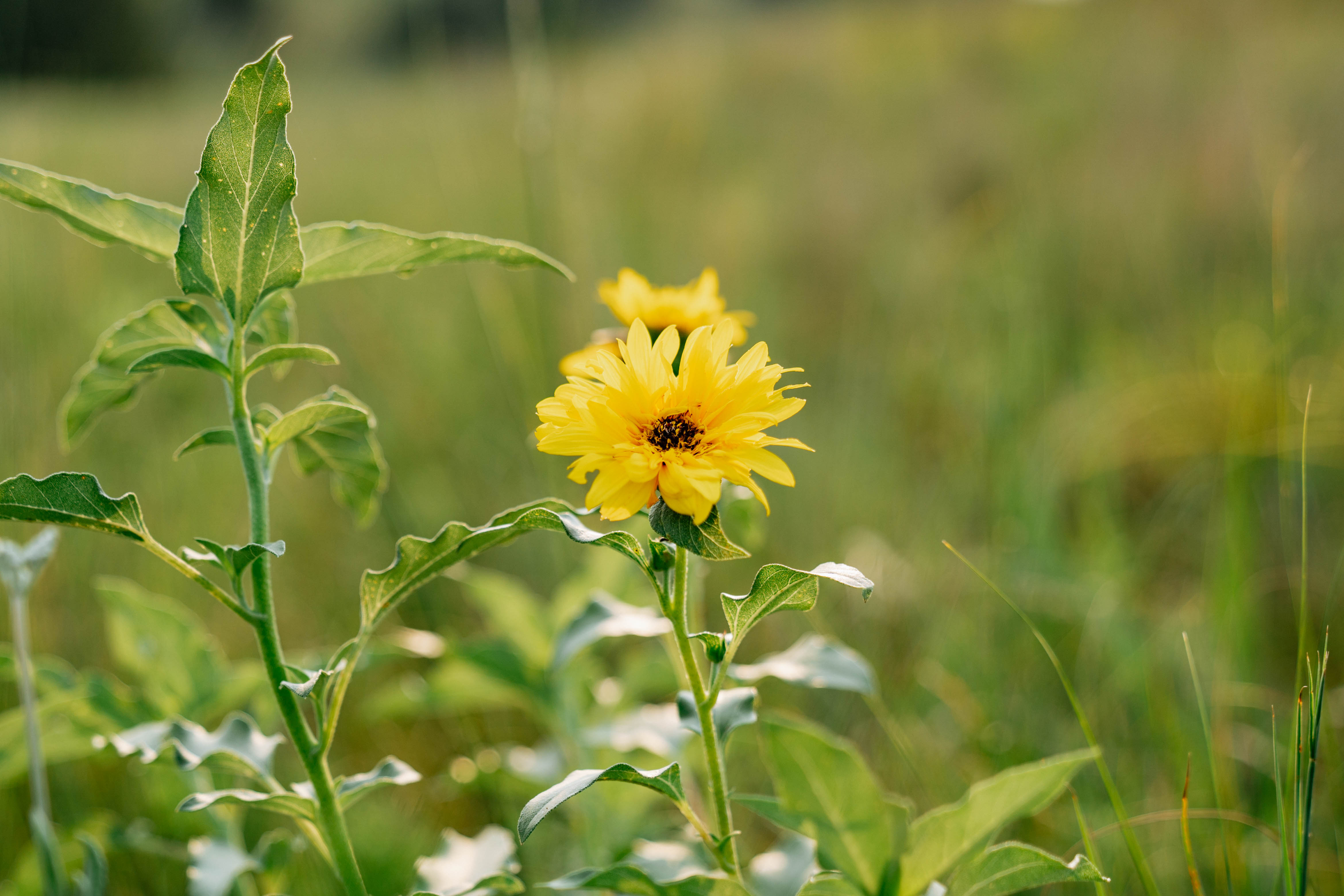 Burwell, NE 68823 - image 17