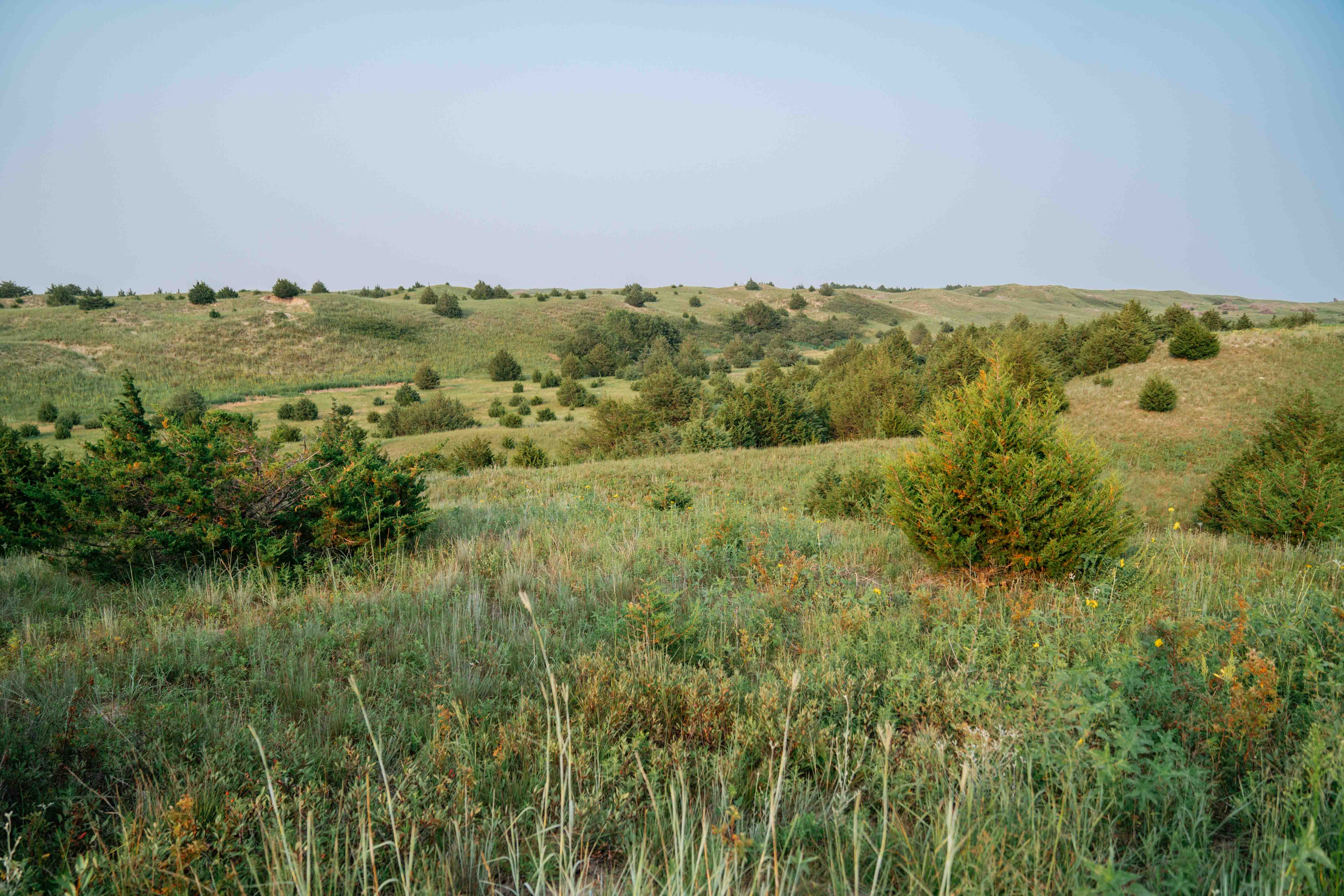 Burwell, NE 68823 - image 12