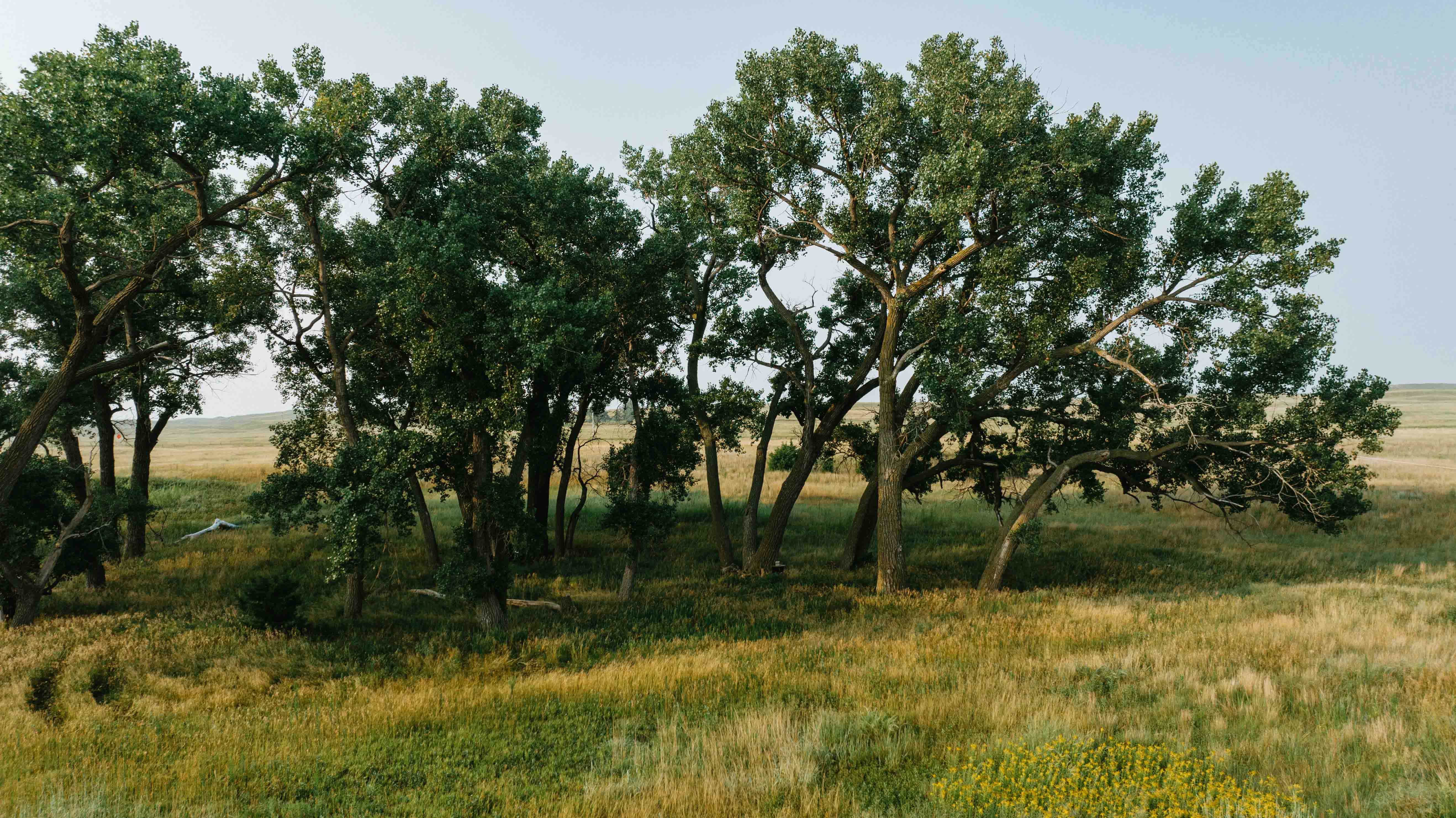 Burwell, NE 68823 - image 12