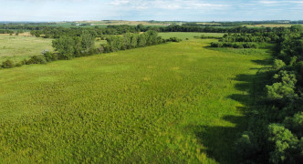 51.19 Acres 853 RD , Pierce