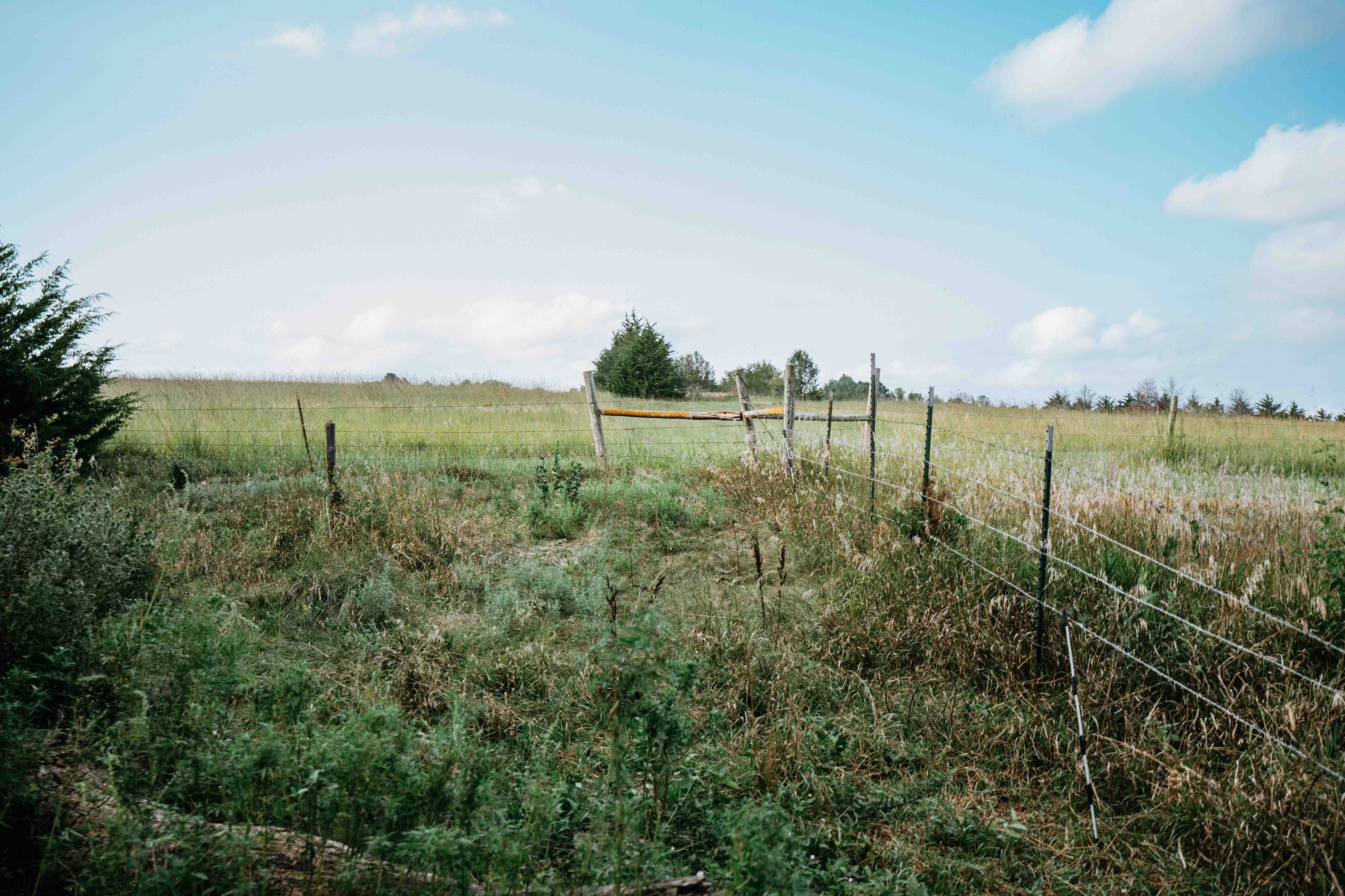 Malcolm, NE 68402 - image 1