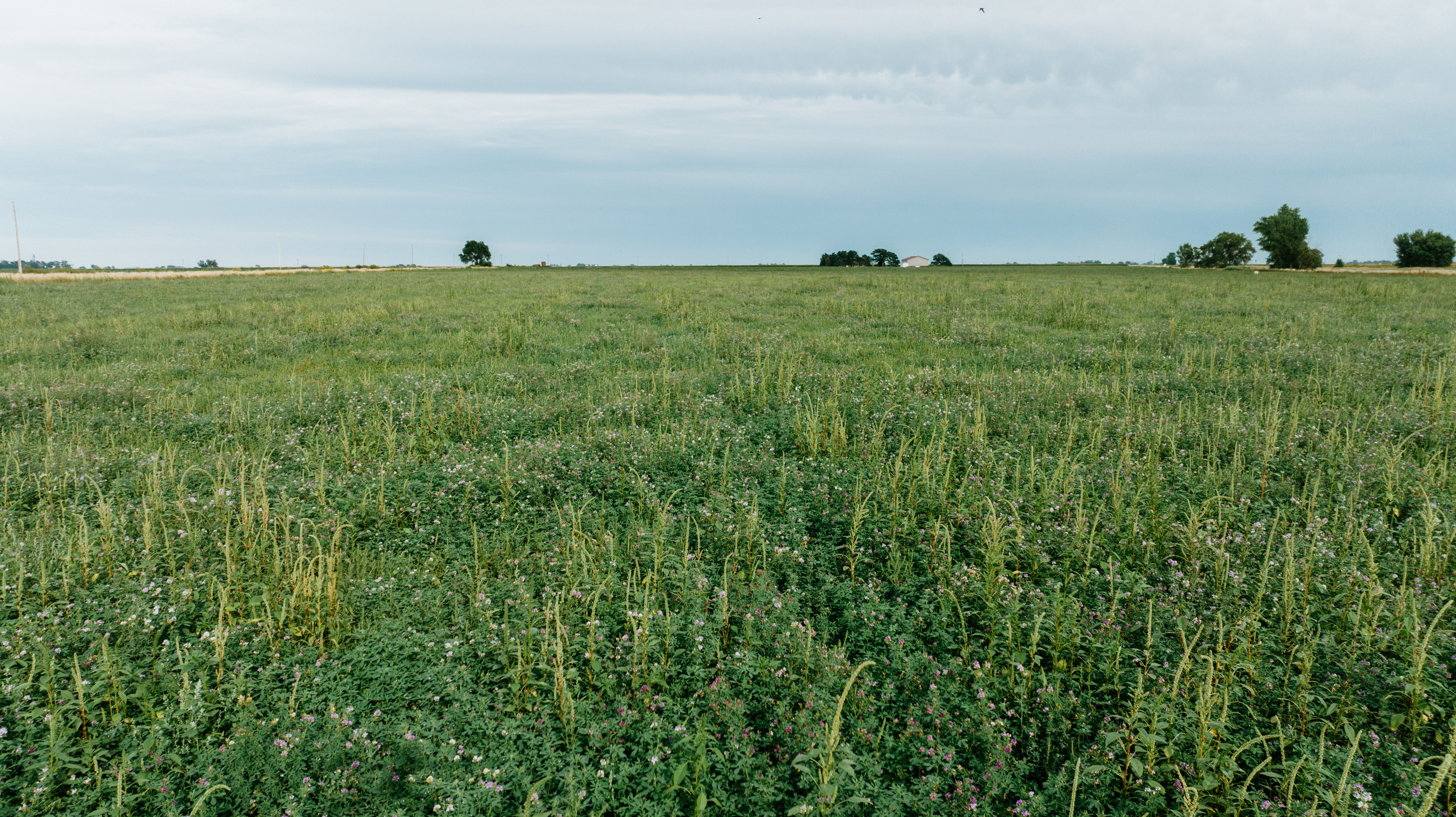 Darr, NE 69130 - image 7