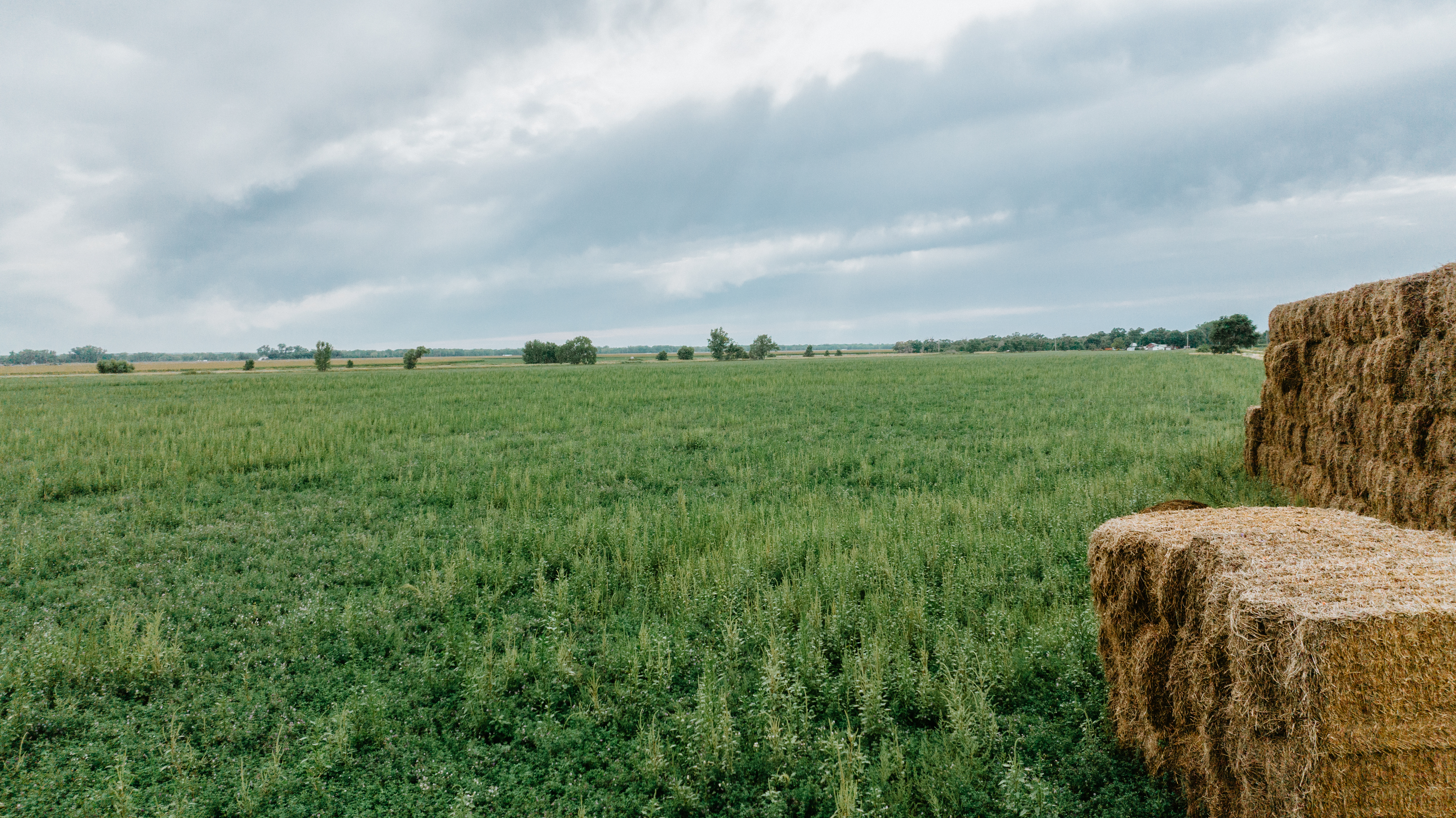 Darr, NE 69130 - image 8