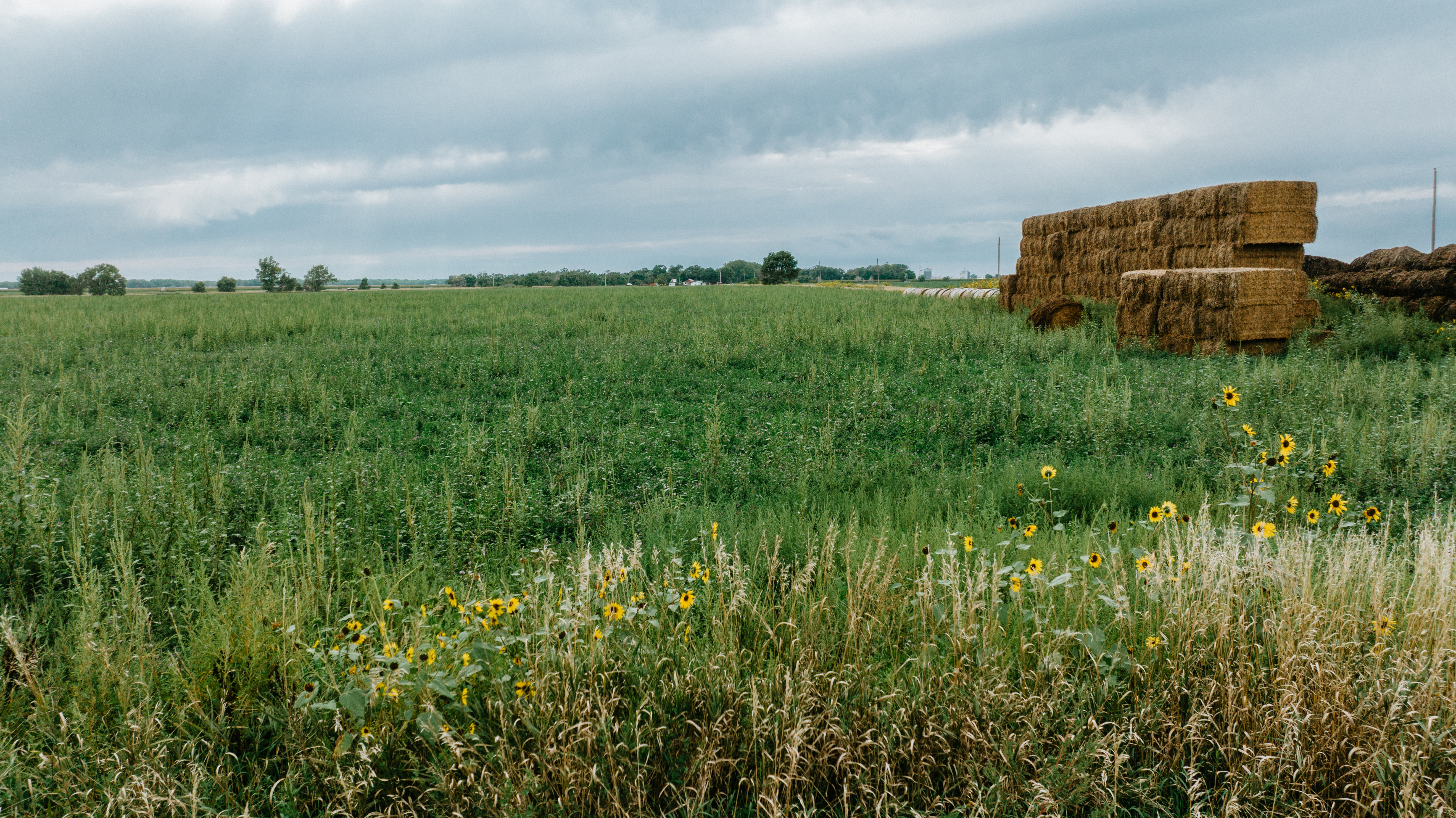 Darr, NE 69130 - image 9