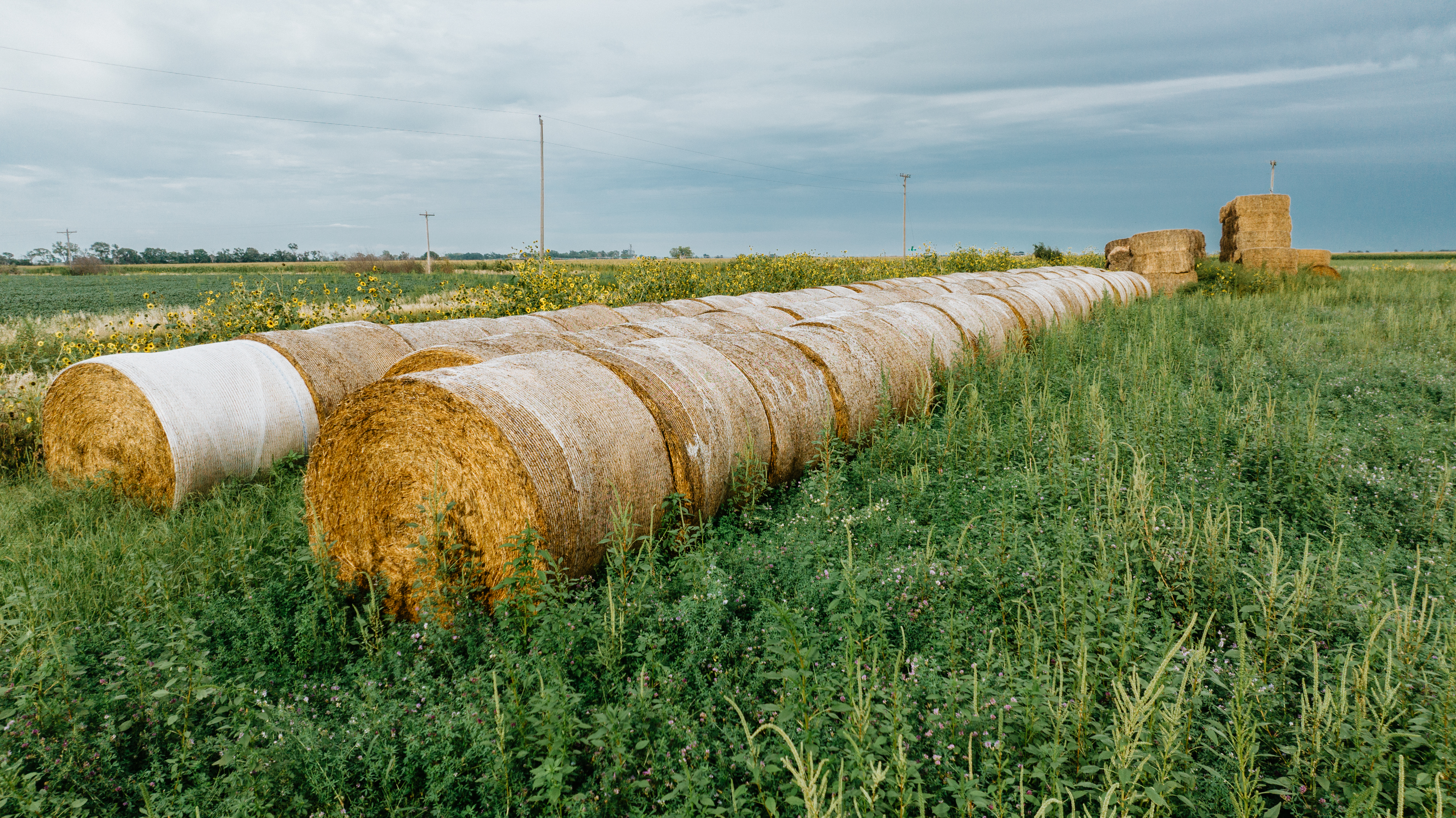 Darr, NE 69130 - image 10