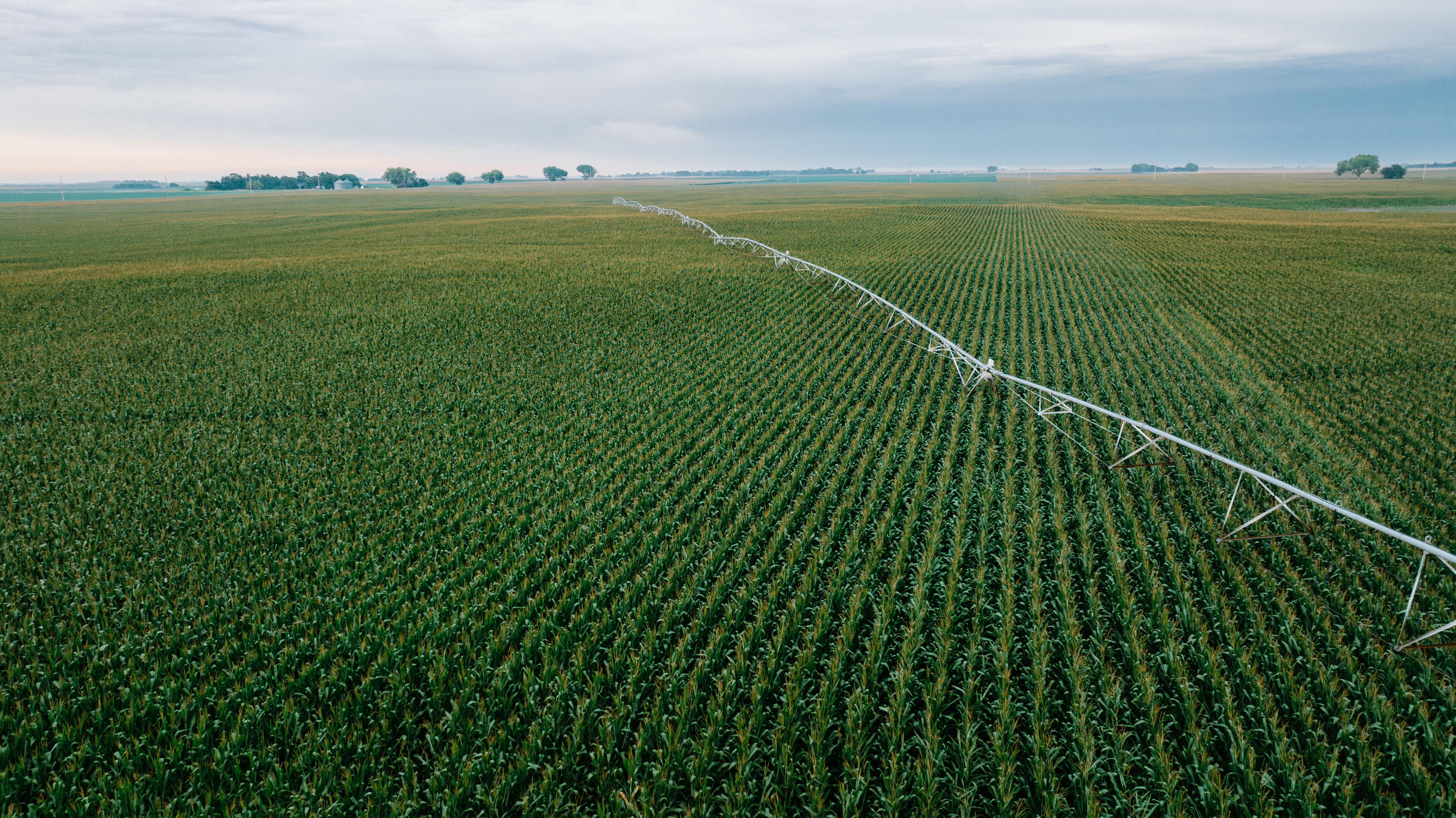 Kenesaw, NE 68923 - image 7