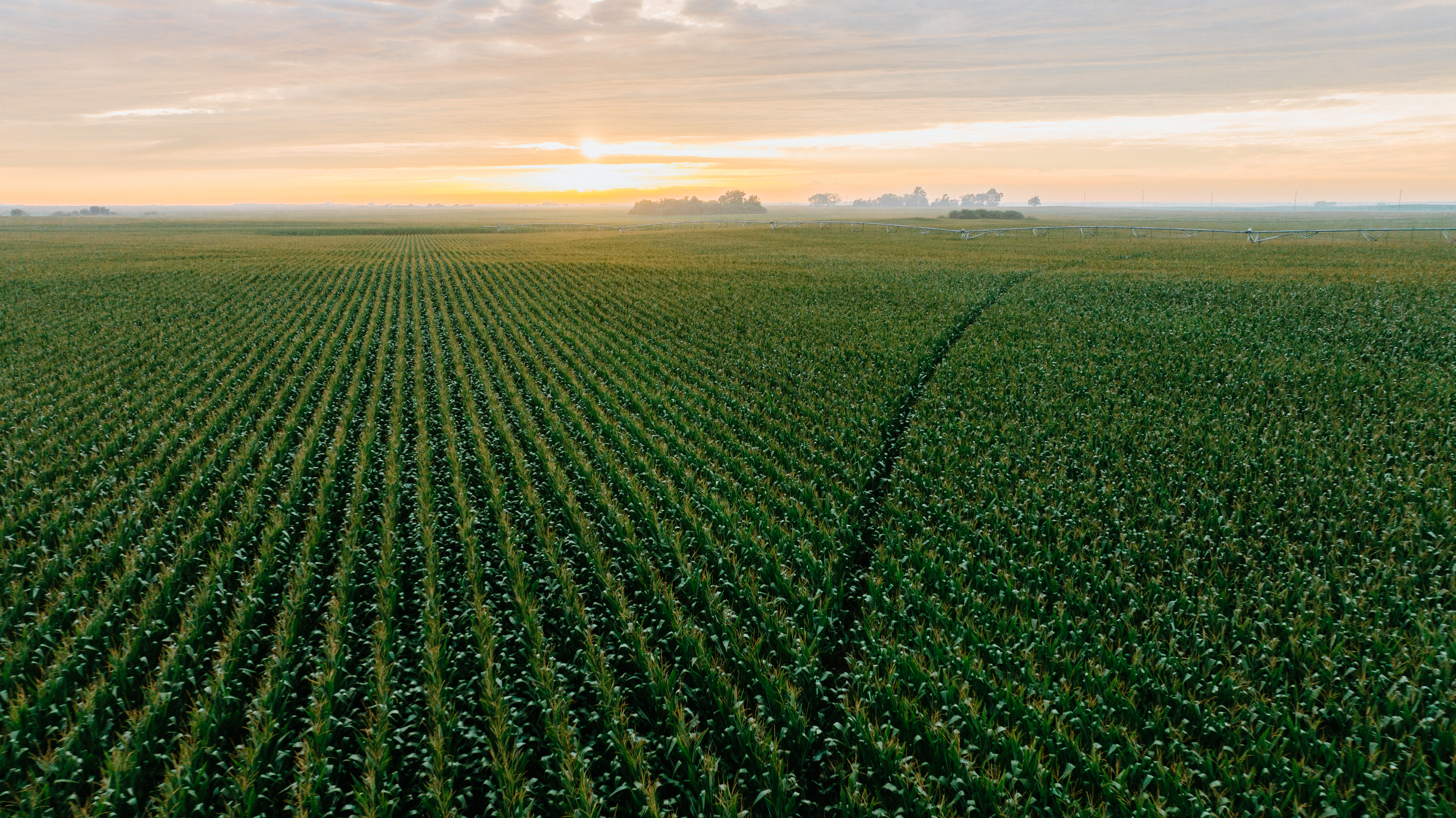 Kenesaw, NE 68923 - image 8