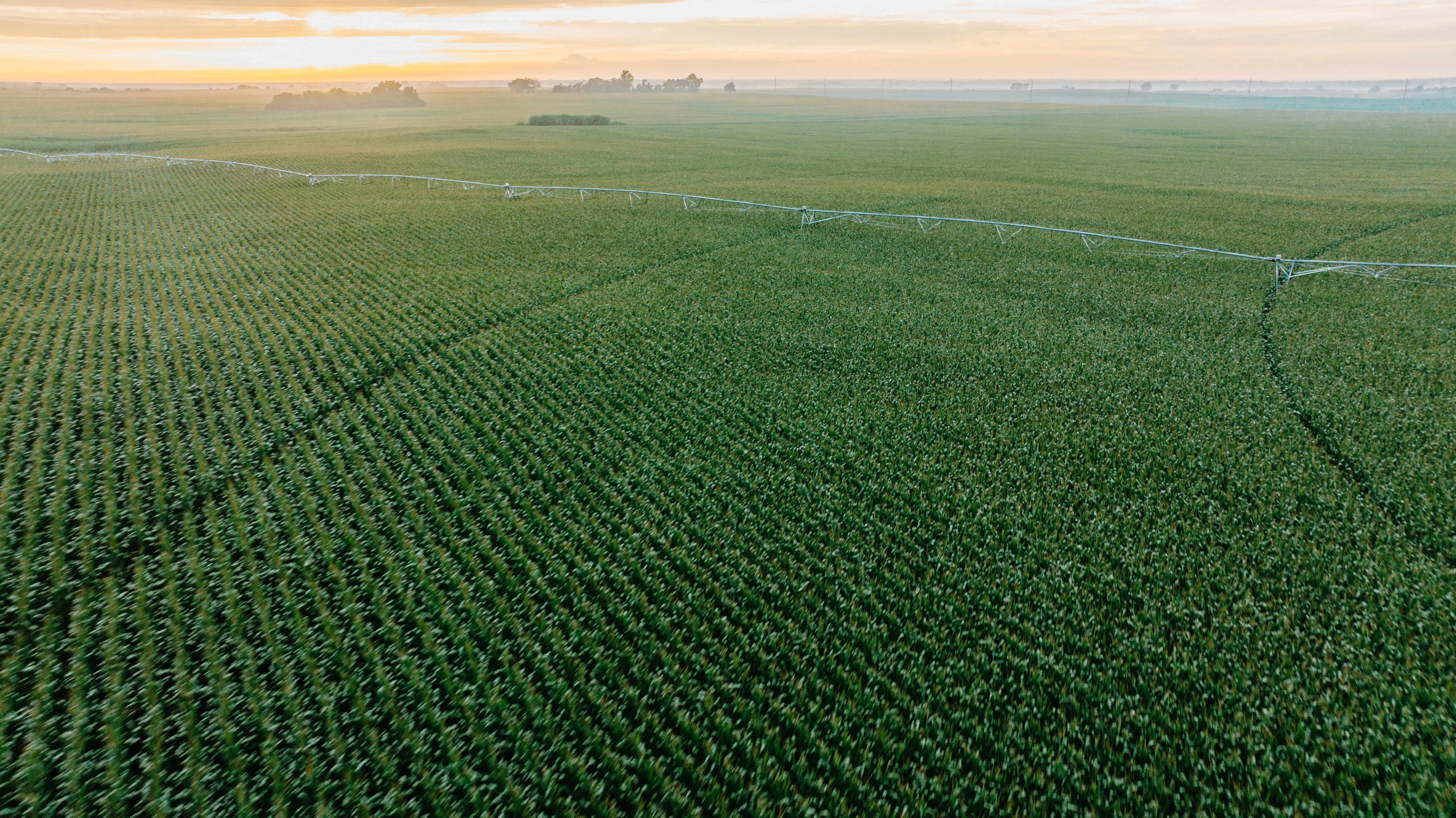 Kenesaw, NE 68923 - image 9