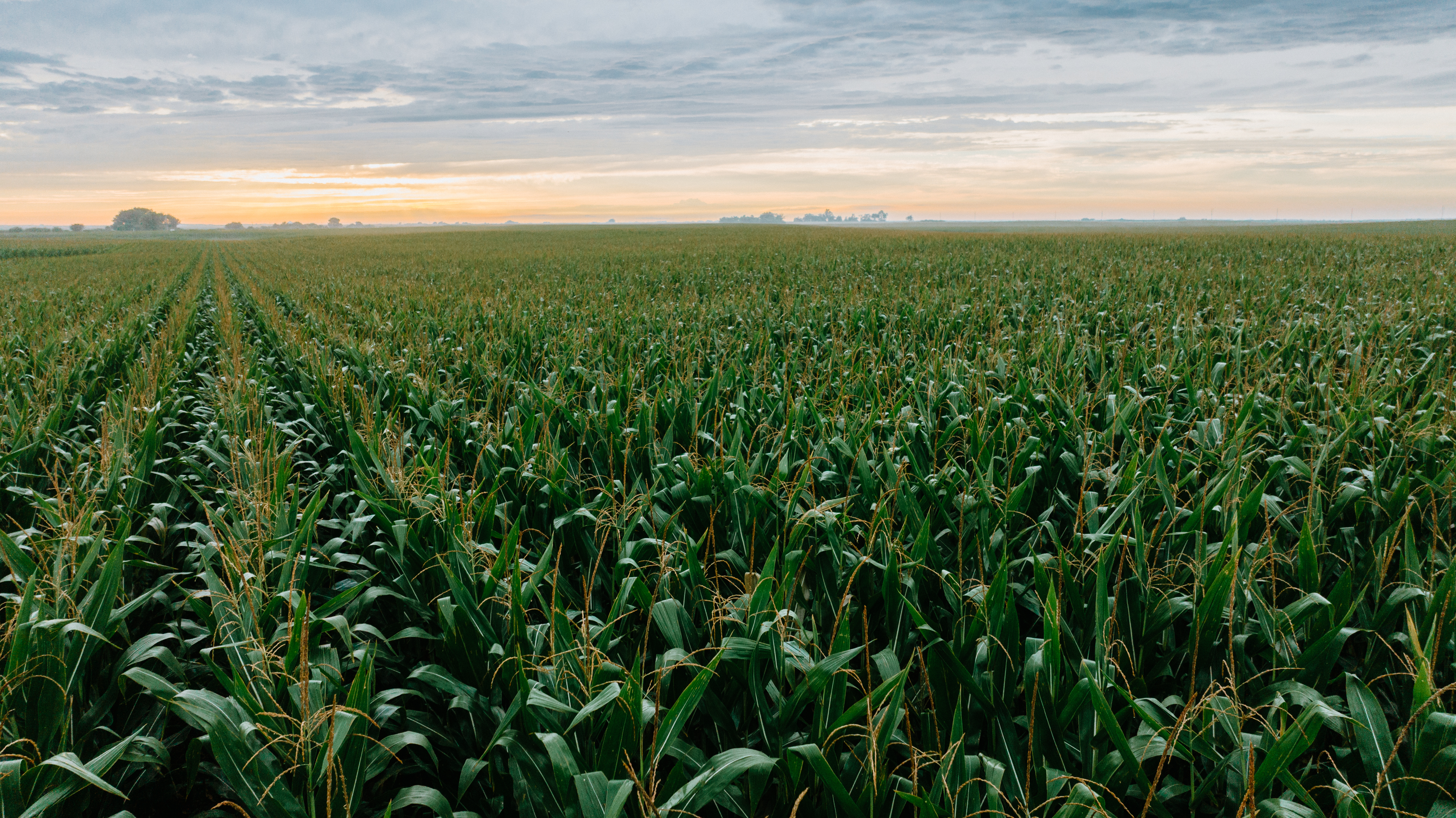 Kenesaw, NE 68923 - image 16