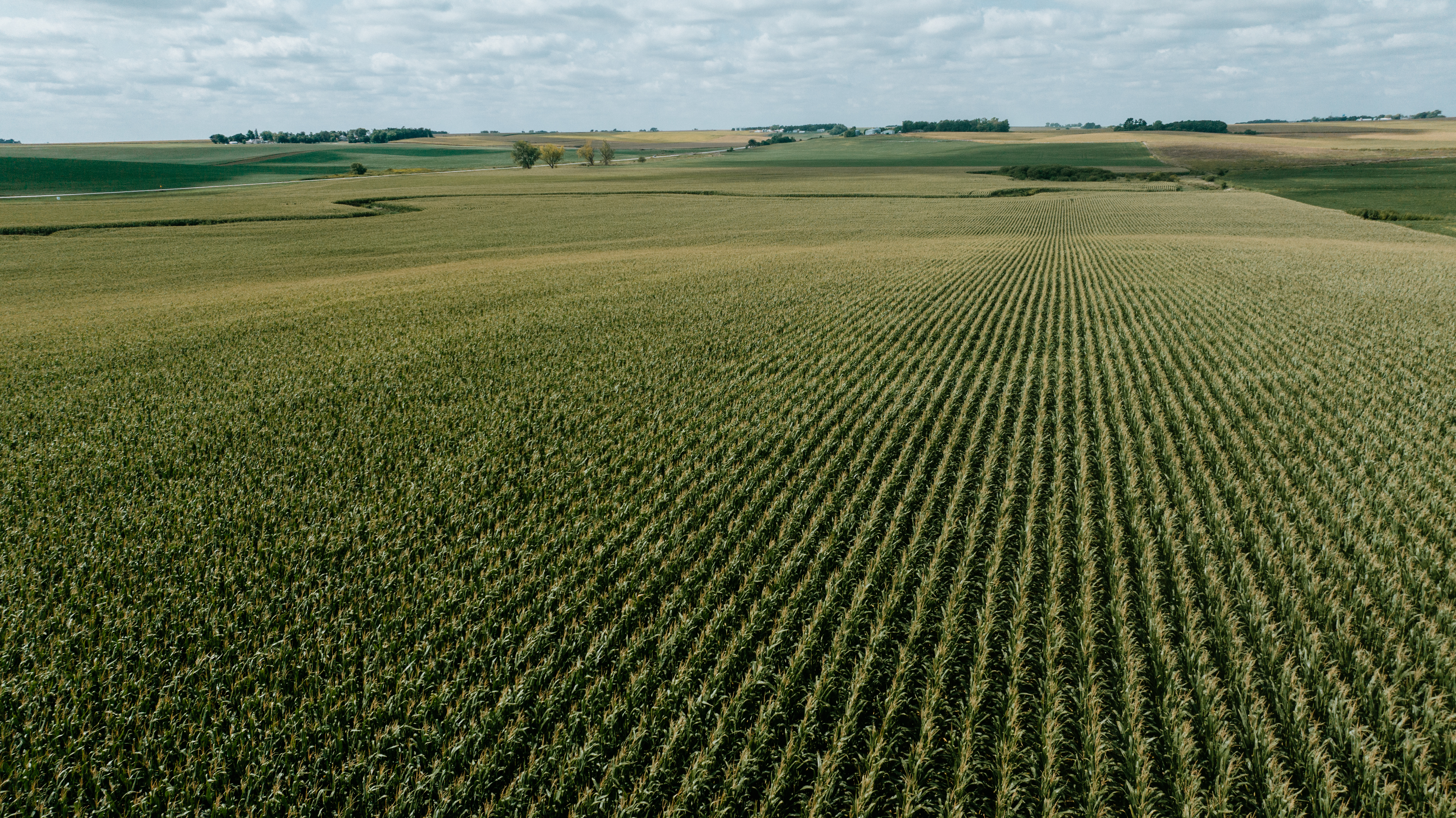 Craig, NE 68019 - image 6