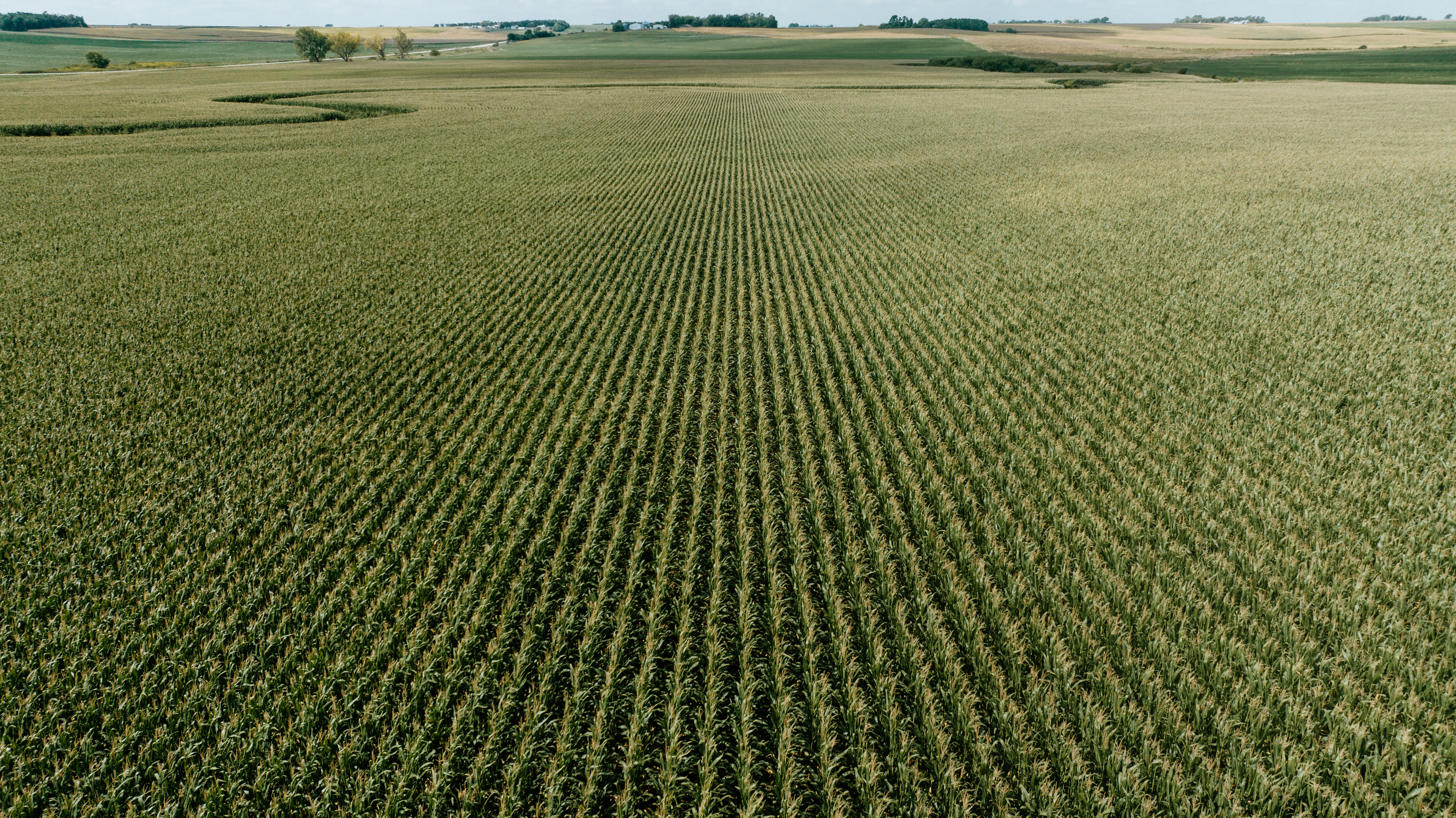 Craig, NE 68019 - image 7