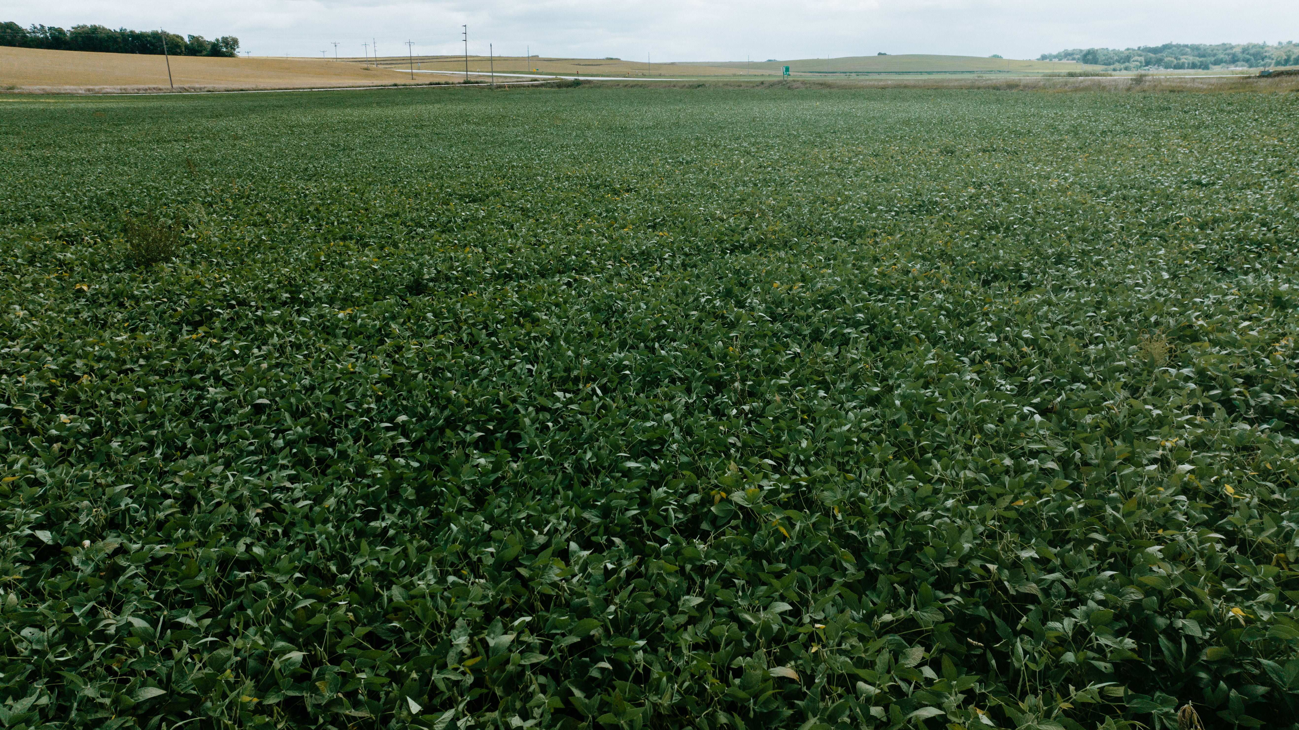 Craig, NE 68019 - image 8