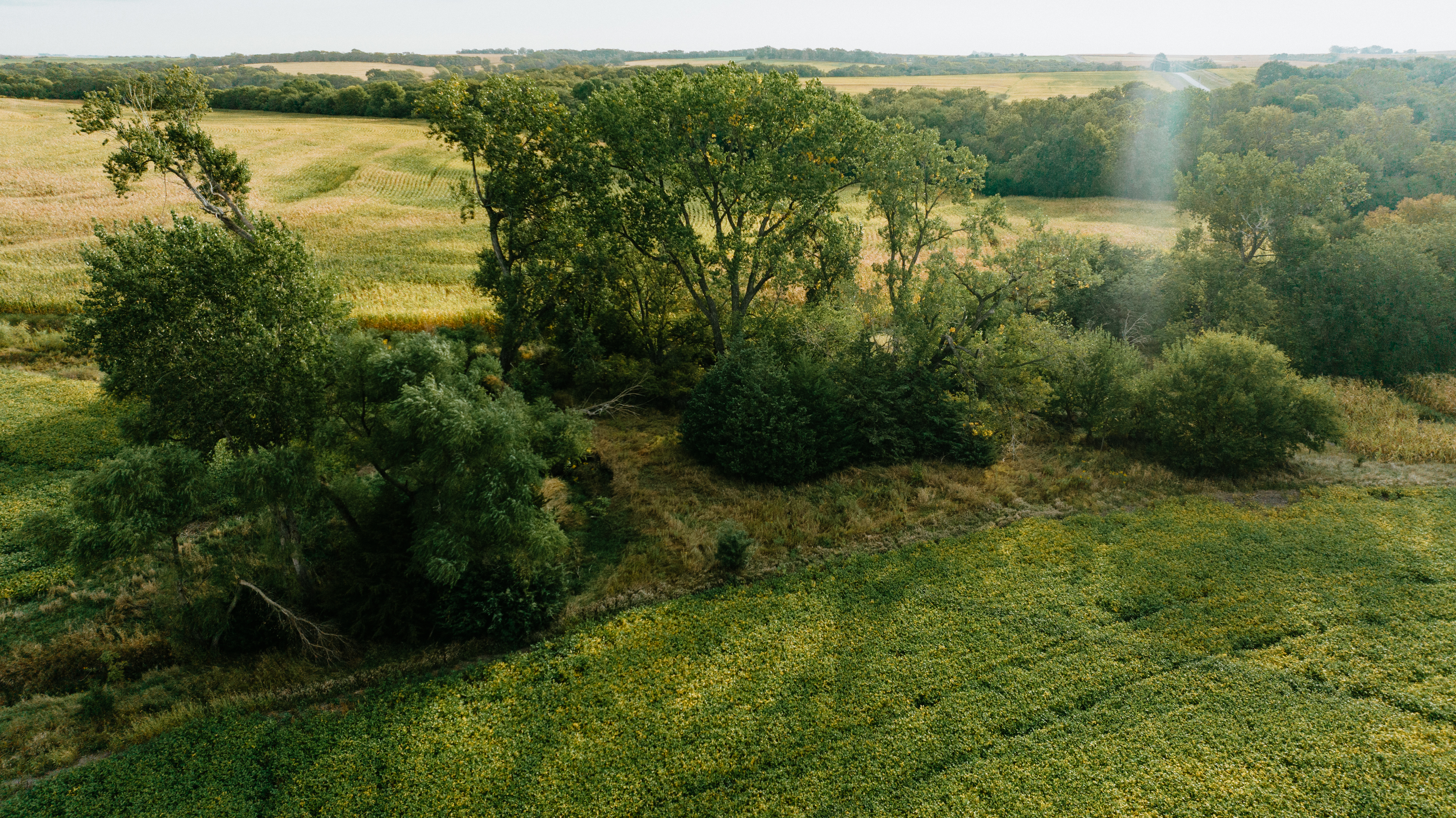 Elmwood, NE 68349 - image 15