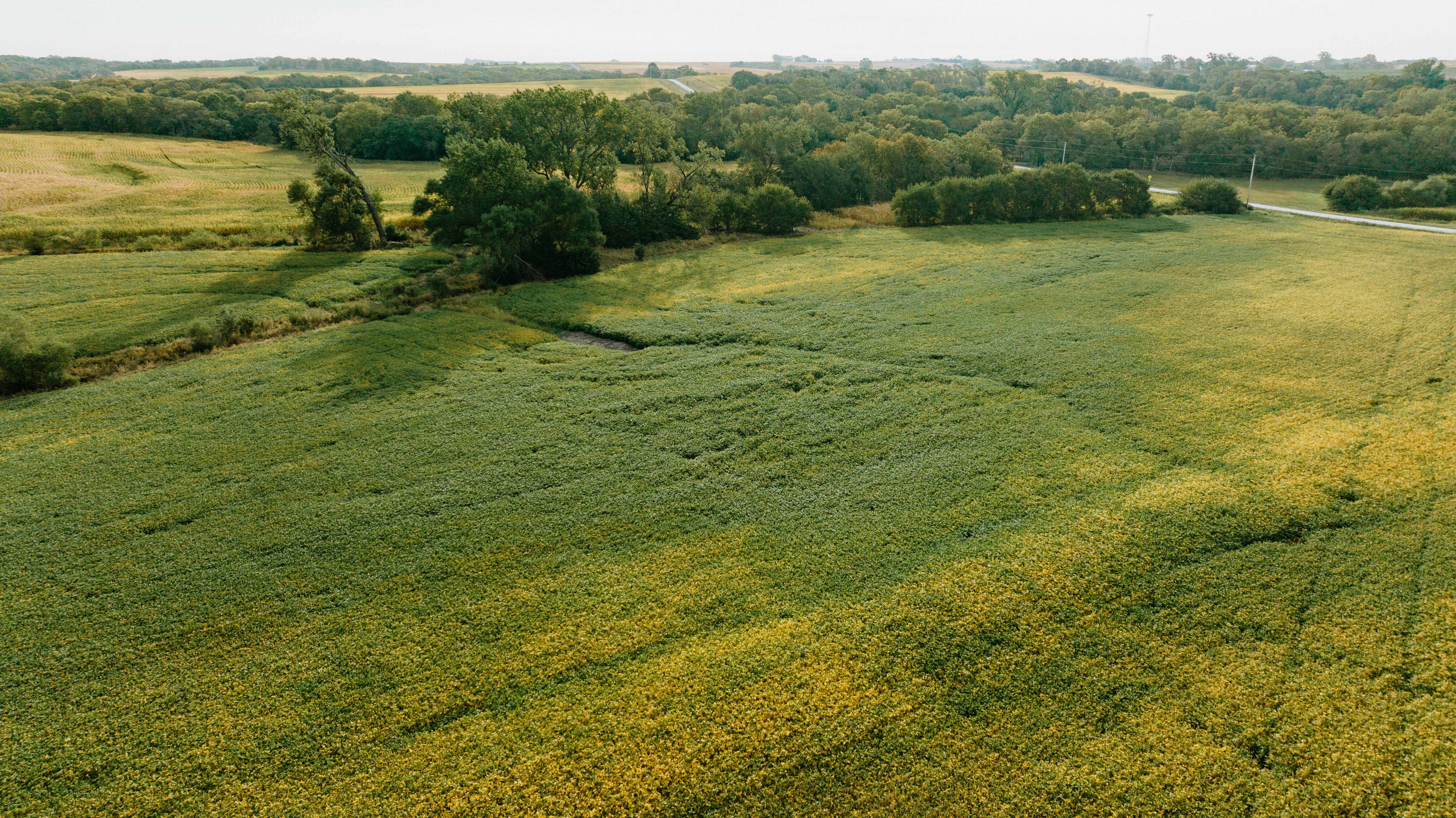 Elmwood, NE 68349 - image 9