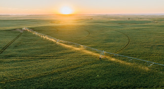 Stuart, NE 68949