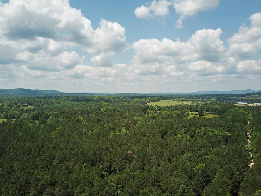 Bonnerdale, AR 71943 - image 1