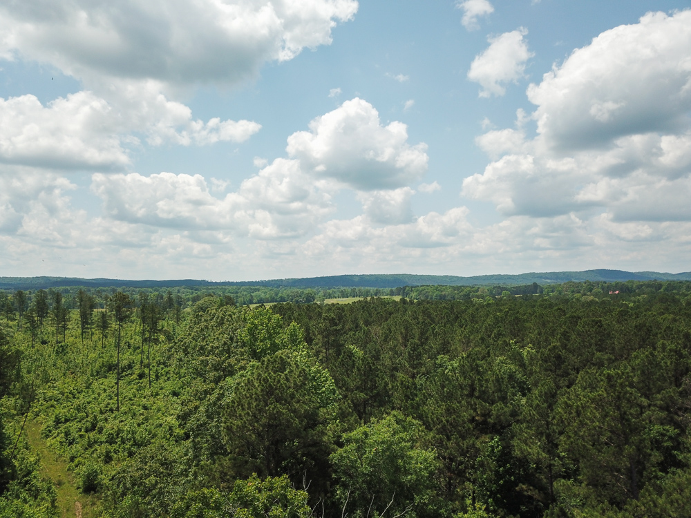 Bonnerdale, AR 71943 - image 2