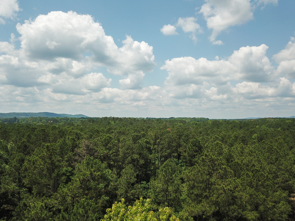 Bonnerdale, AR 71943 - image 3