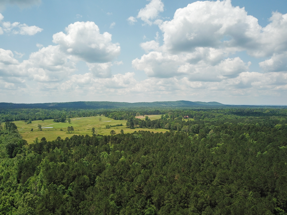 Bonnerdale, AR 71943 - image 4