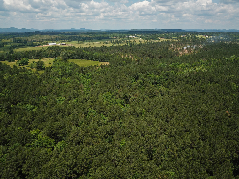 Bonnerdale, AR 71943 - image 5