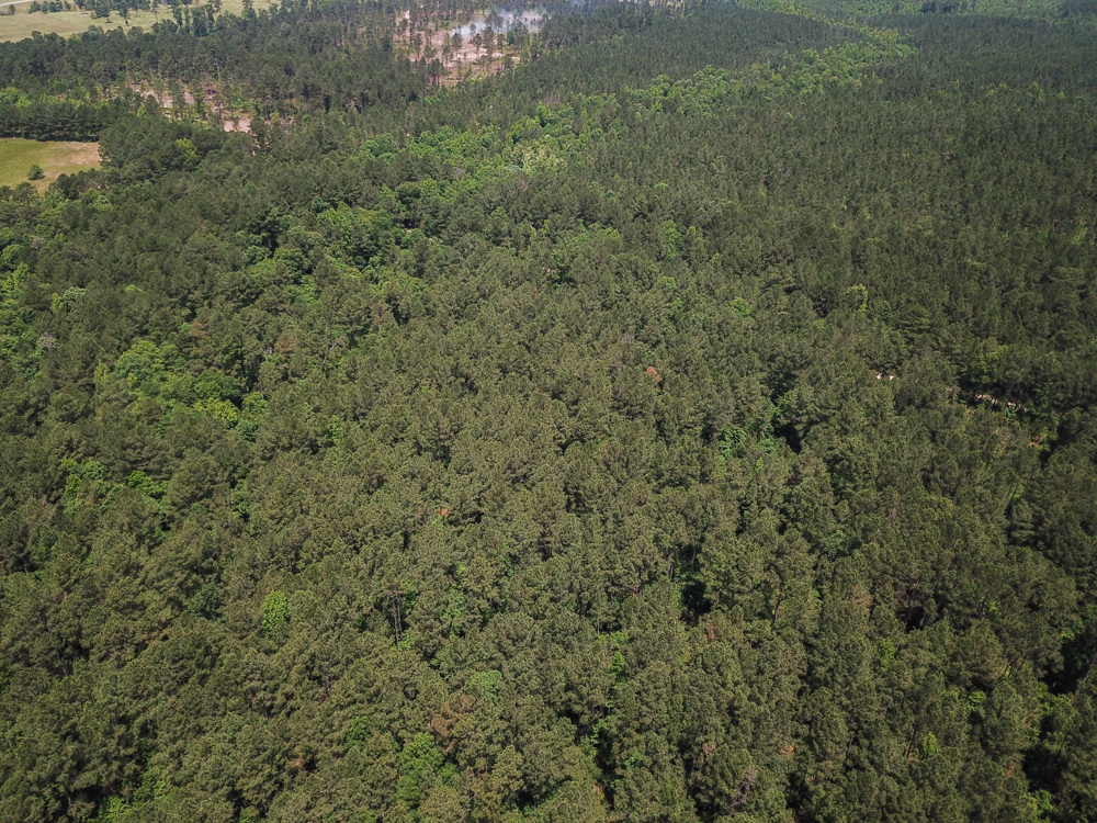 Bonnerdale, AR 71943 - image 6