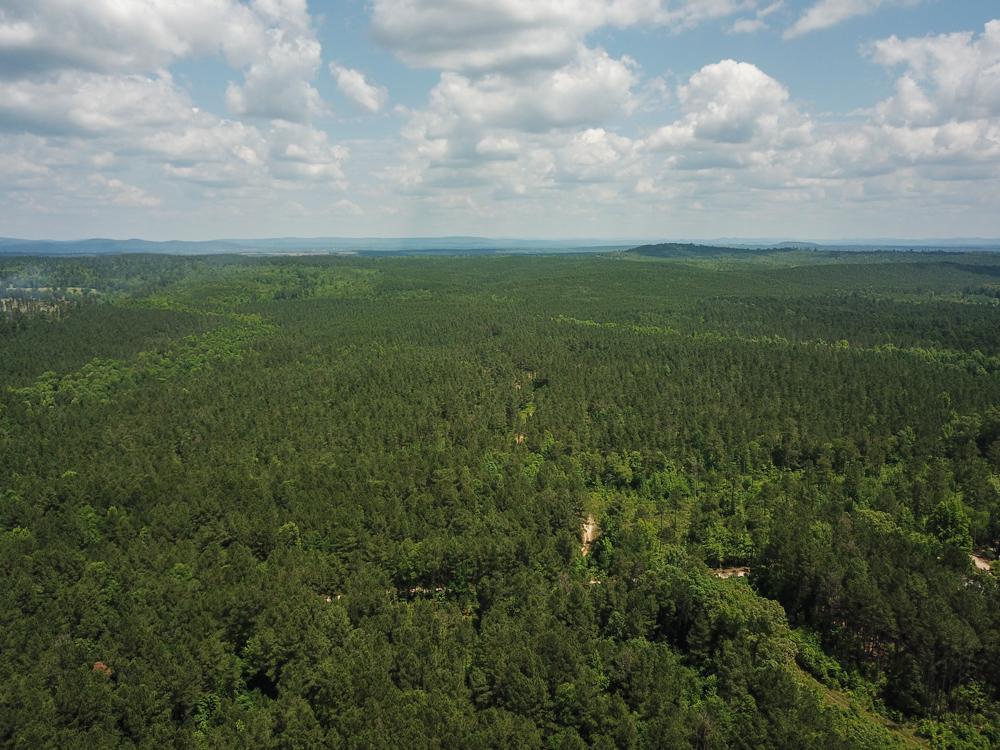 Bonnerdale, AR 71943 - image 7