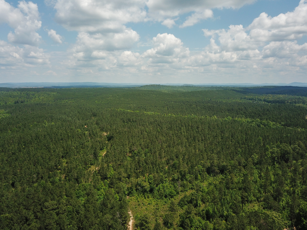 Bonnerdale, AR 71943 - image 8