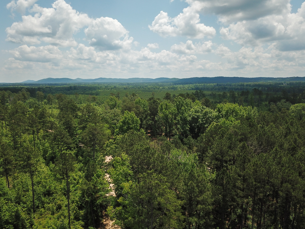 Bonnerdale, AR 71943 - image 9