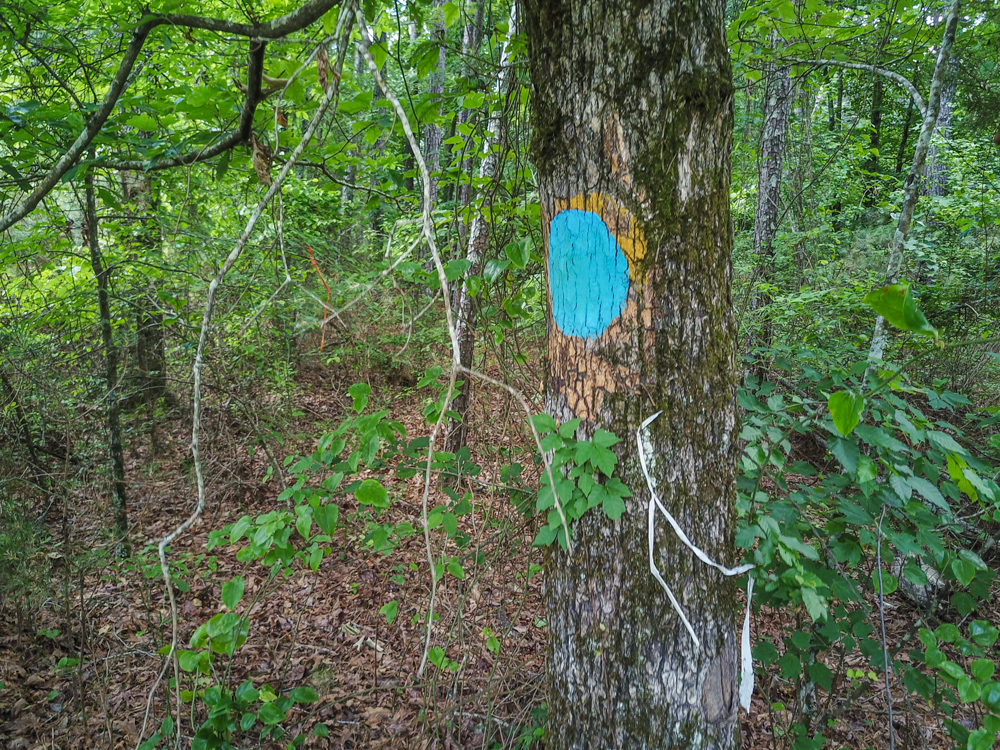 Bonnerdale, AR 71943 - image 23