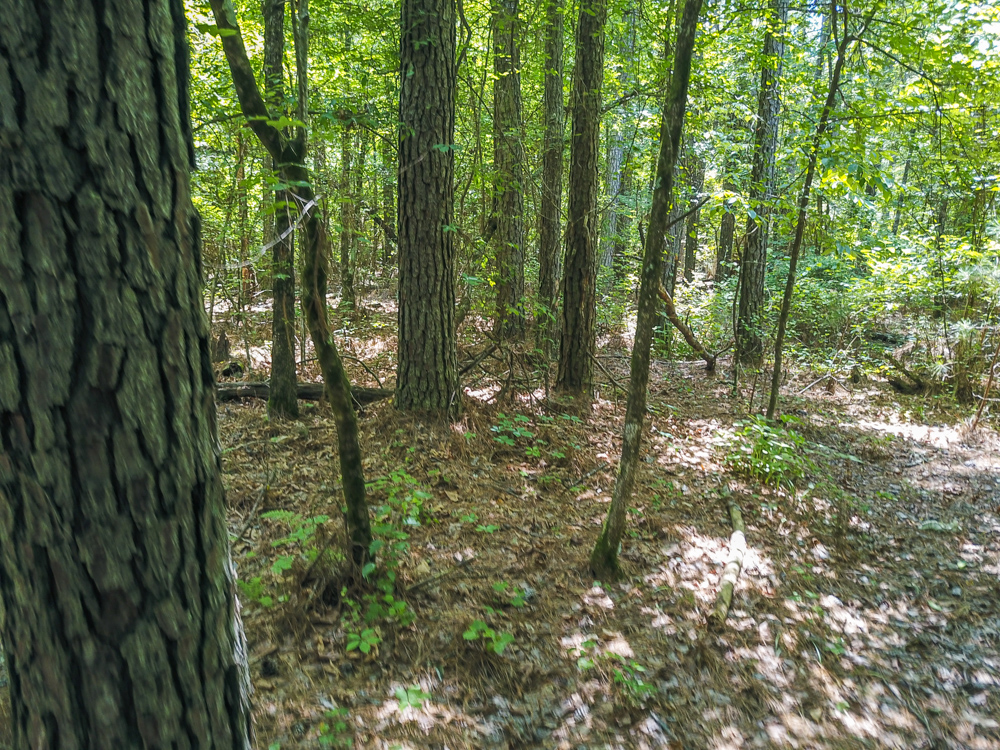 Bonnerdale, AR 71943 - image 20